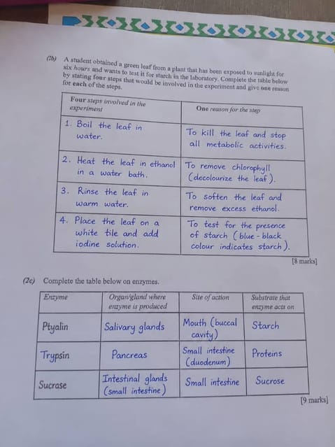 Waec 2026 Biology Questions and Answers