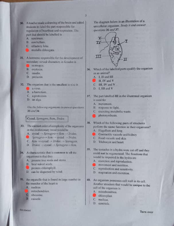 Waec 2026 Biology Questions and Answers