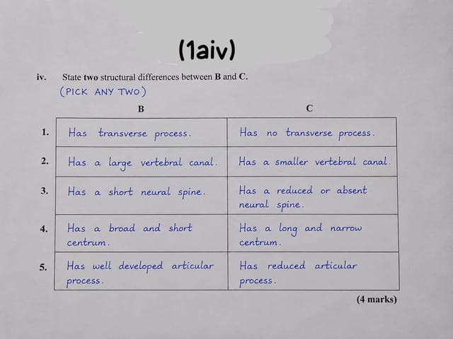 Neco 2026 Biology Practical Answers