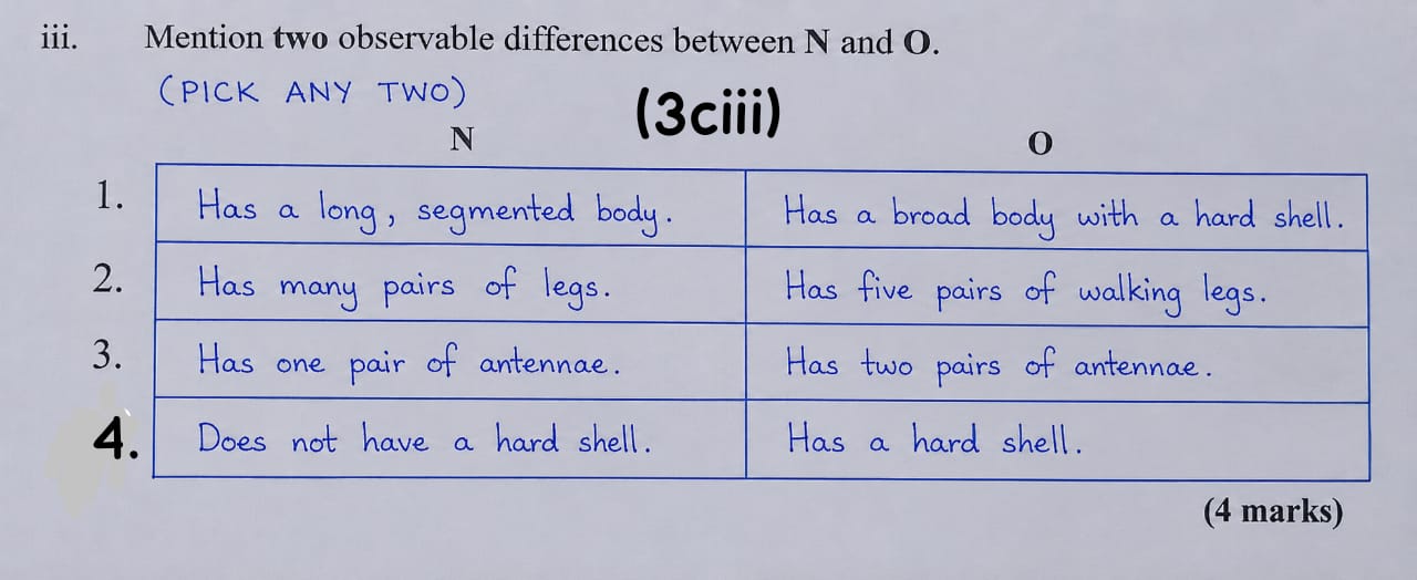 Neco 2026 Biology Practical Answers