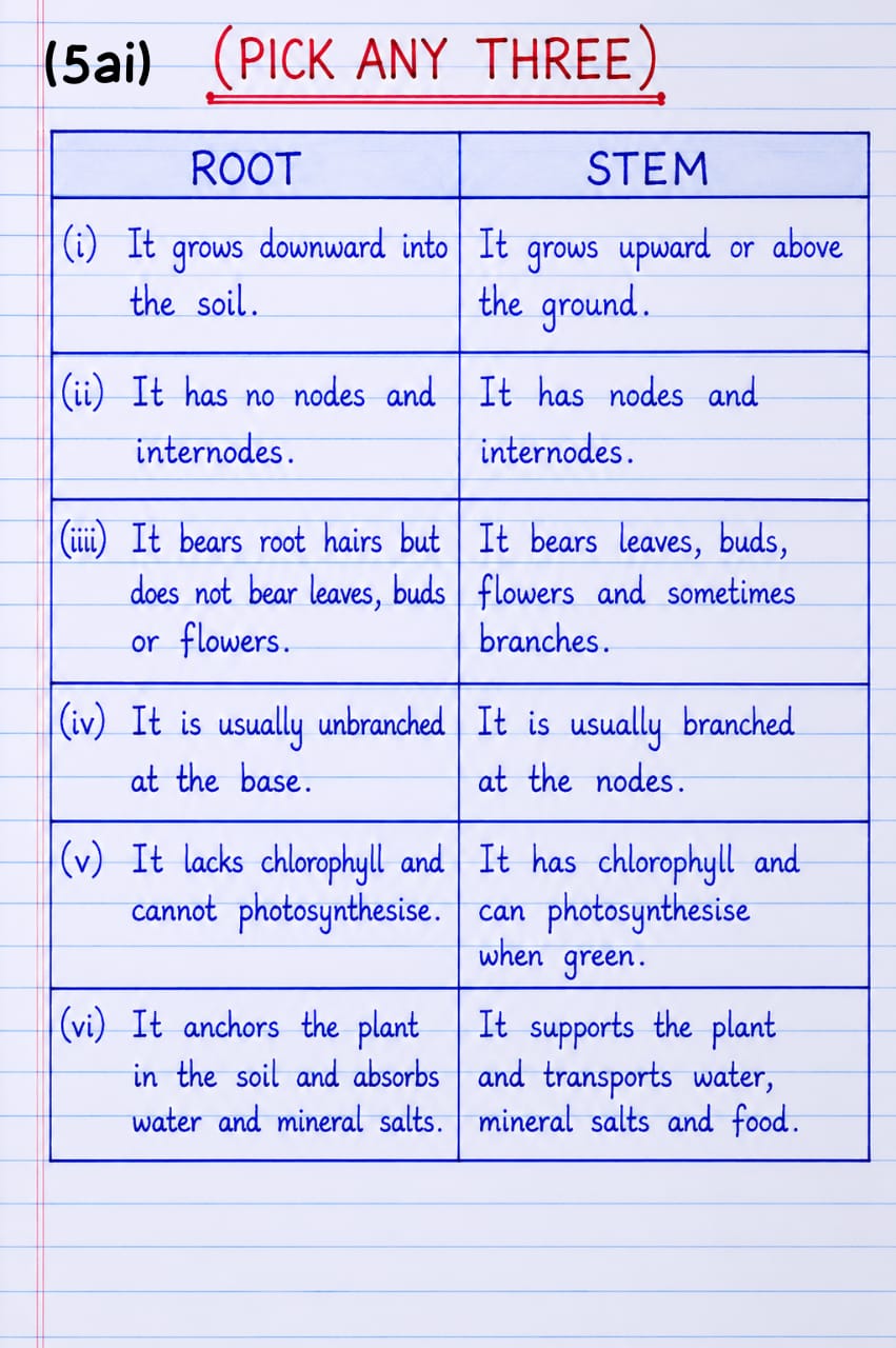 Neco Biology Questions and Answers