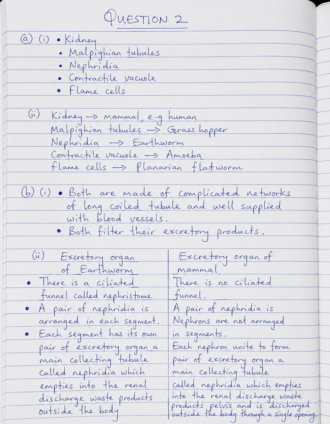 Neco Biology Questions and Answers